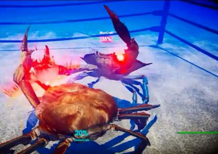 龙虾大战螃蟹 2019-12-16 16:47