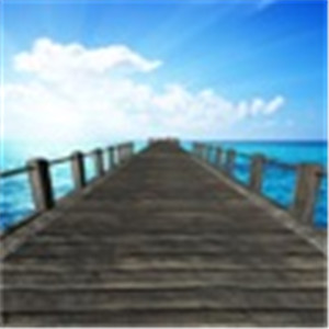 无尽狂奔中文版