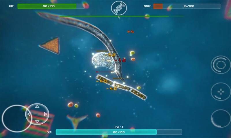 孢子的起源  v40.54