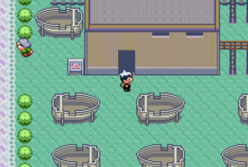 口袋妖怪红宝石 v1.0