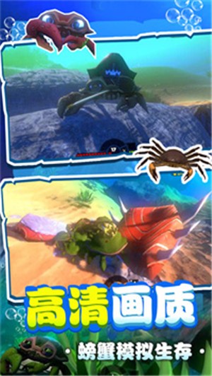 螃蟹生存模拟  v1.0.2