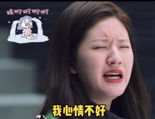 姐妹我心情不好表情包 v1.0