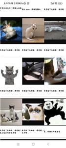 小猫表情包合集  v1.0