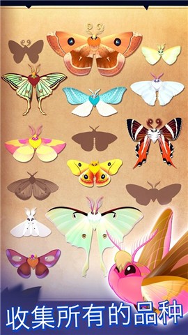 彩翼之星夜最新版  v1.0.0