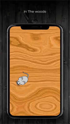 最优化的猫CatchThe Mouse