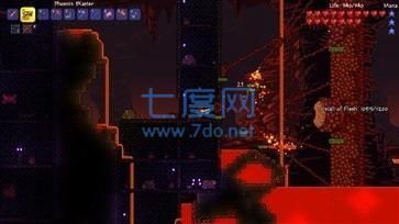 泰拉瑞亚灾厄