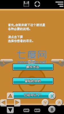 口袋妖怪心灵之金汉化版