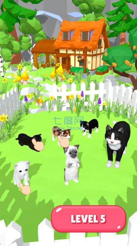 块爆破球和猫游戏