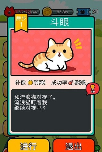 收养一只流浪的猫 2024-06-25 15:08
