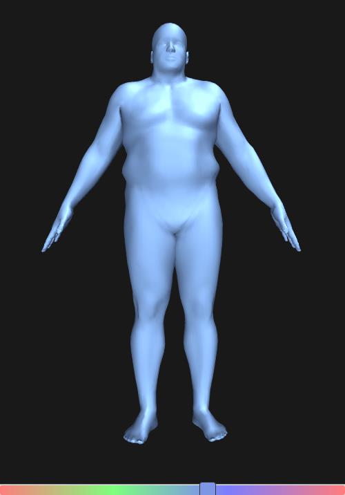 bodyvisualizer