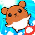 奔跑吧仓鼠游戏