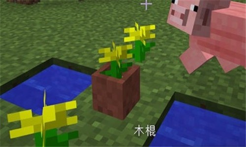 我的世界丰收物语汉化版截图2