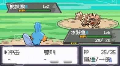 口袋妖怪全随机版