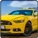 新野马赛车模拟器