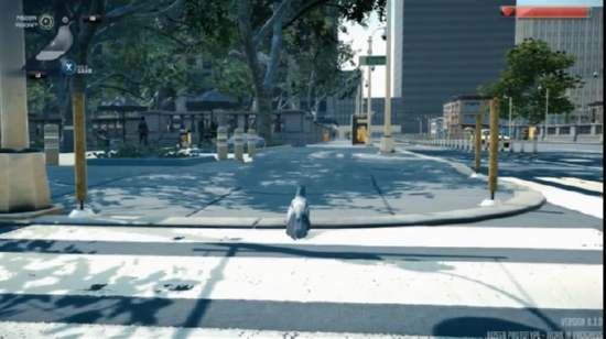 我是一只可爱的鸽子 我是一只可爱的鸽子