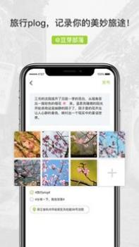 豆芽部落 v3.0.5
