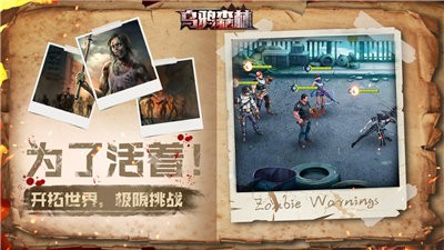 乌鸦森林 v1.11.71