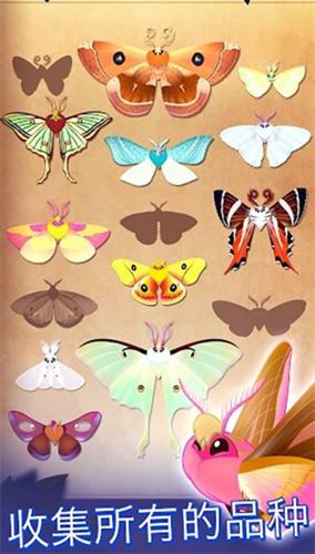 彩翼之星夜破解版 v2.184