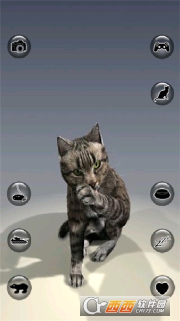 Talking Reality Cat(现实猫手游) v1.20 安卓版