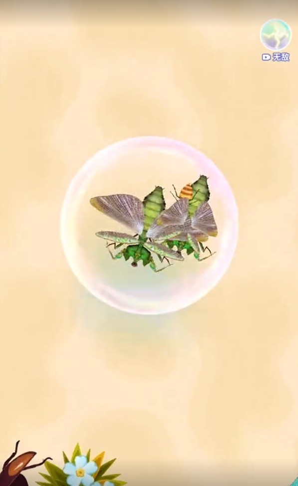 合成神龙2召唤神凤  vV1.0