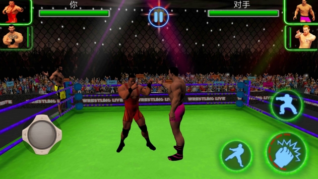 职业摔跤赛游侠汉化 v4.0.5