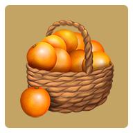 Orange Tree(橘子树)