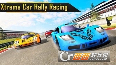 拉力赛车驾驶 v1.1 安卓版