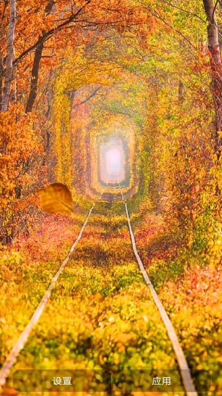 爱动态壁纸截图2