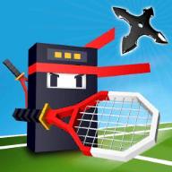 Tennis Ninja(Ninja Tennis Revenge of Pong(忍者网球复仇))