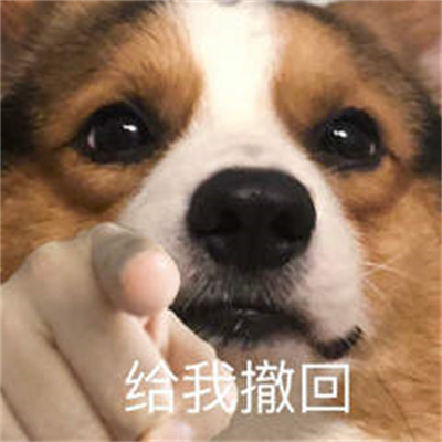 指人专用表情包.jpg 指人专用表情包.jpg