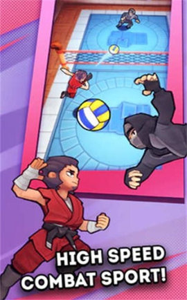 功夫排球 v0.2.115