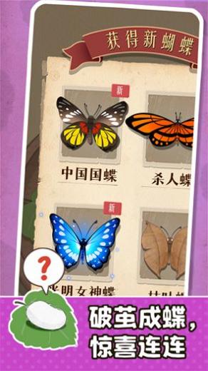 小小养蚕师 最新版 v3.0.5