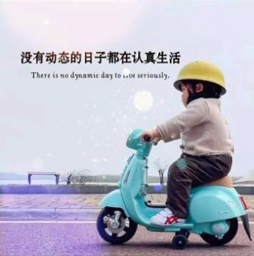 抖音没有动态的日子都是在认真的生活图片带文字 v1.0