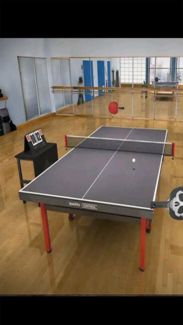 乒乓球王 手机版