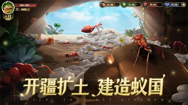 小小蚁国内置菜单版  v1.82.0
