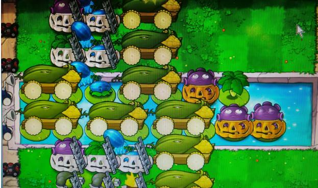 植物大战僵尸一代中文原版