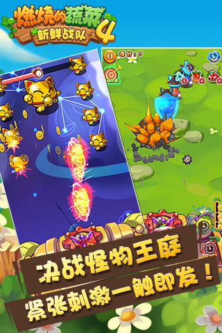 燃烧的蔬菜4 v3.1.5