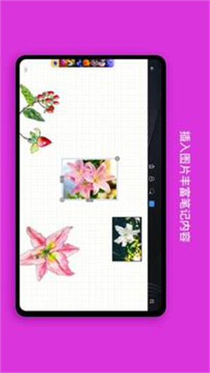 千本笔记app v4.4.3