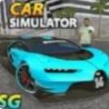 汽车模拟器SG游戏最新安卓版