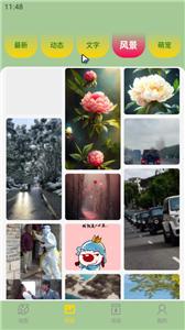 火苗壁纸  v1.20.0.1-SNAPSH