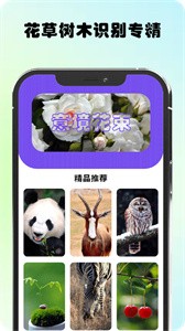 万物识图高手  v1.1