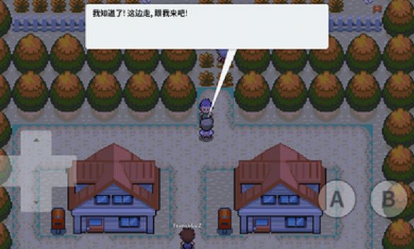 宝可梦去吧皮卡丘4.0攻略完整免费版  v4.3.2