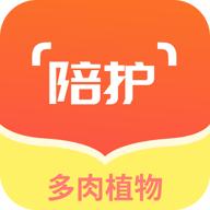 多肉植物陪护记