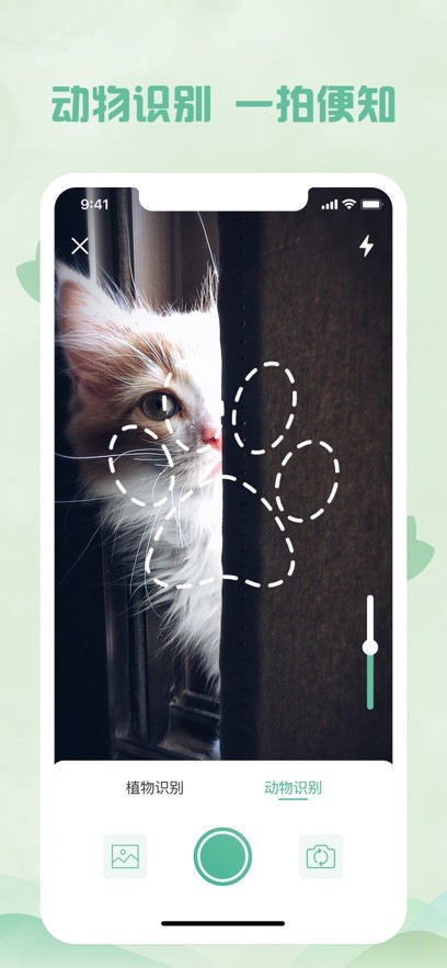 拍照识物  V 1.0