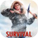 荒岛生存冬季版