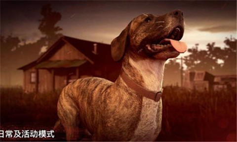 勇闯死人谷21.43.0 v1.42.1