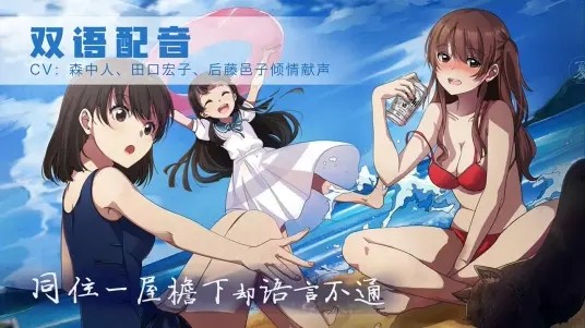 可爱的圣诞礼物