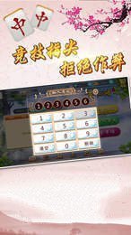 丽水茶苑松阳麻将