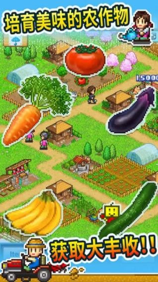 开罗晴空农场物语正版 v3.00