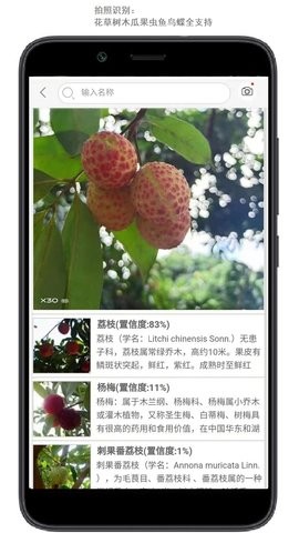 行色识花  v2.1.18